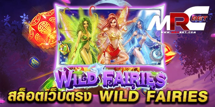 สล็อตเว็บตรง WILD FAIRIES เล่นง่าย ได้เงินจริง บนมือถือ ทดลองเล่นฟรี